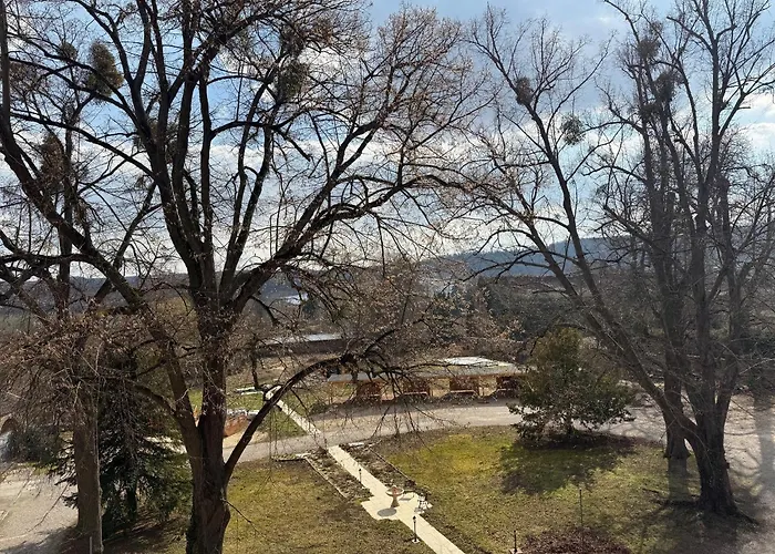 Schloss Zingst * Querfurt