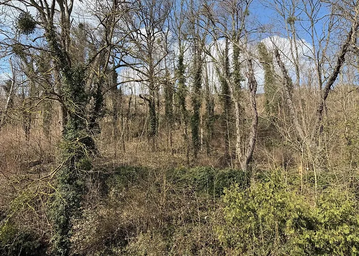 Schloss Zingst Querfurt