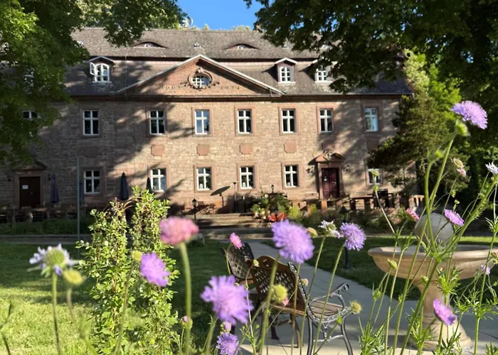Schloss Zingst Appartement